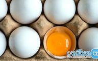 تخم مرغ بال در آورد!