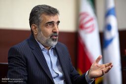 سازمان انرژی اتمی ادعای فعالیت هسته‌ای اعلام نشده در ایران را تکذیب کرد