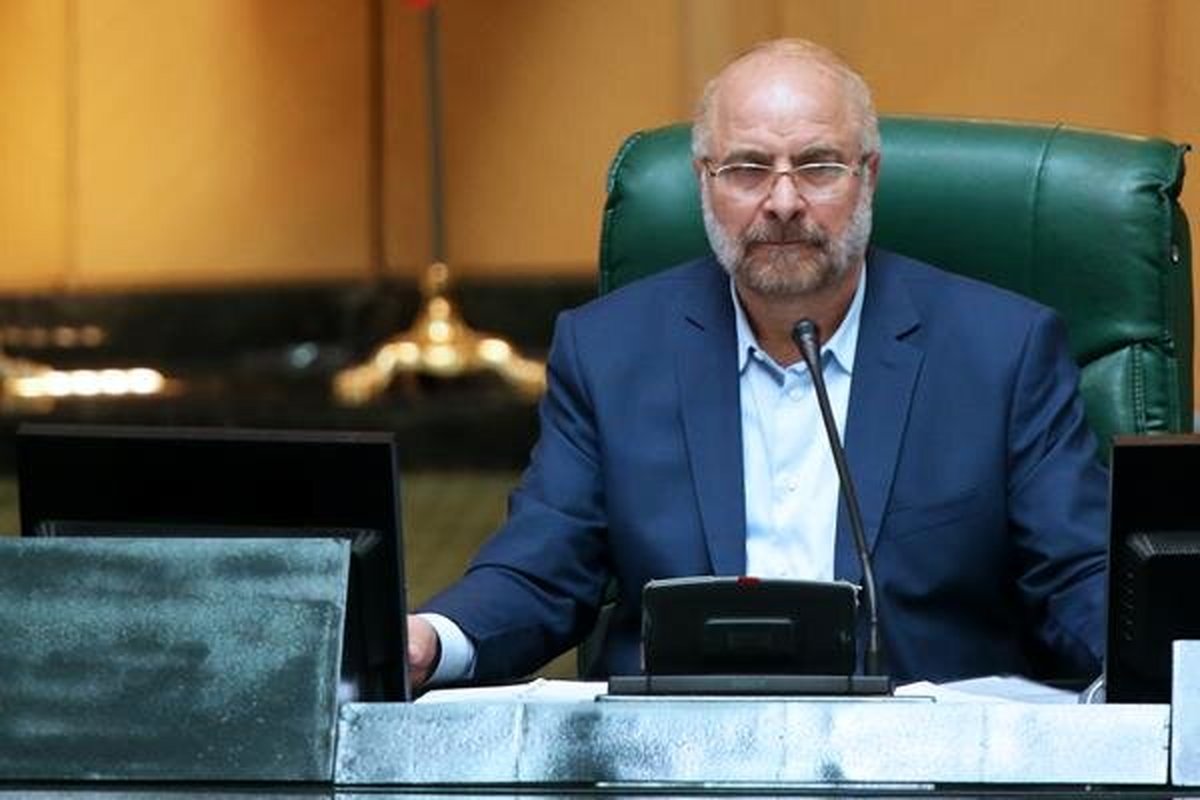 درخواست رئیس مجلس از دولت