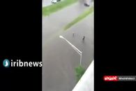 نیویورک را آب برد