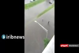 نیویورک را آب برد