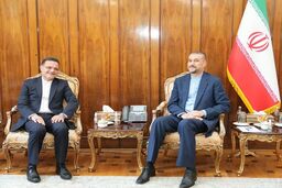 دیدار وزرای خارجه ایران و ونزوئلا