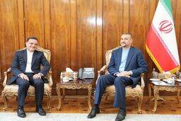 دیدار وزرای خارجه ایران و ونزوئلا