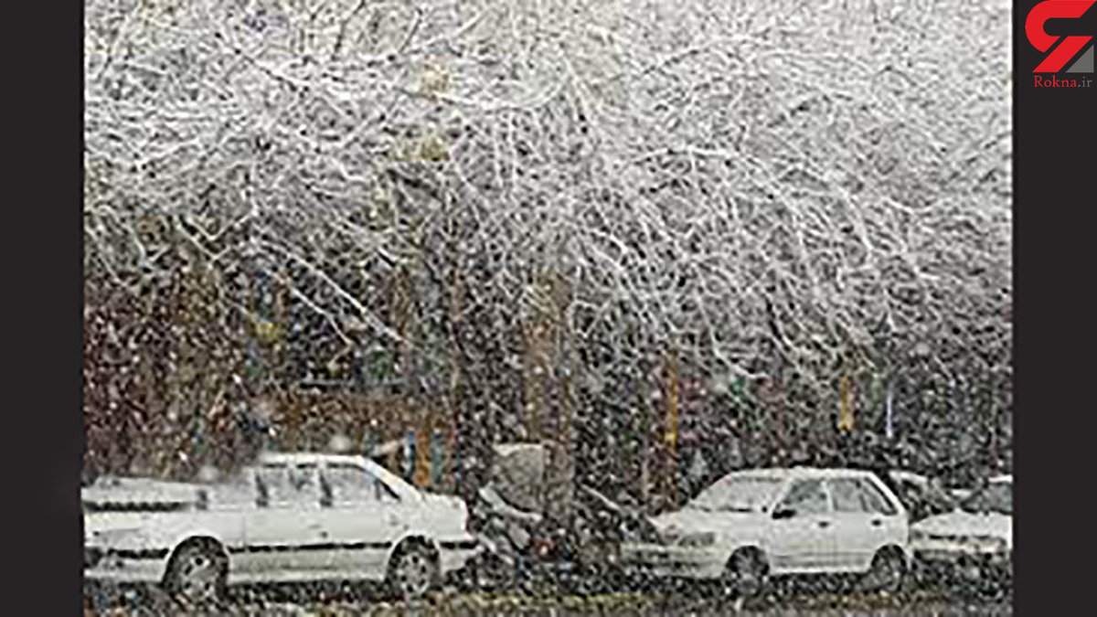 غول دریای سرخ هفته آینده در ایران / برف و کولاک در ۲۰ استان کشور