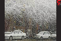 غول دریای سرخ هفته آینده در ایران / برف و کولاک در ۲۰ استان کشور