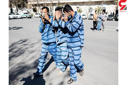 جولان قمه کش ها در پارک نهج البلاغه/ زورگیران رحم نداشتند