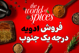 جشنواره لاکچر خرید ادویه + ارسال رایگان