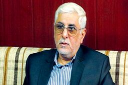 هانی‌زاده: اظهارات ظریف بسیار شتابزده بود