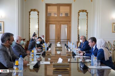 دکتر ظریف