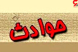 جزئیات ریزش معدن در ارزوئیه کرمان