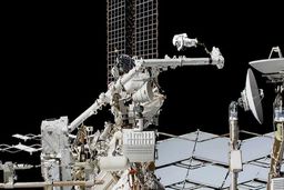 فردا اژدها به فضا پرتاب می شود+جزئیات و عکس