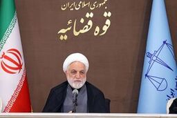اژه ای : ترامپ ، پلشت، خبیث و ملون و بی شخصیت است