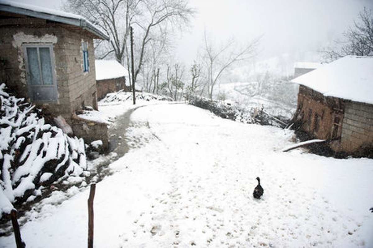 گیلان به روزهای عجوزهاش نزدیک میشود