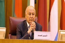 ابوالغیظ: ایران و ترکیه قلدری می‌کنند!