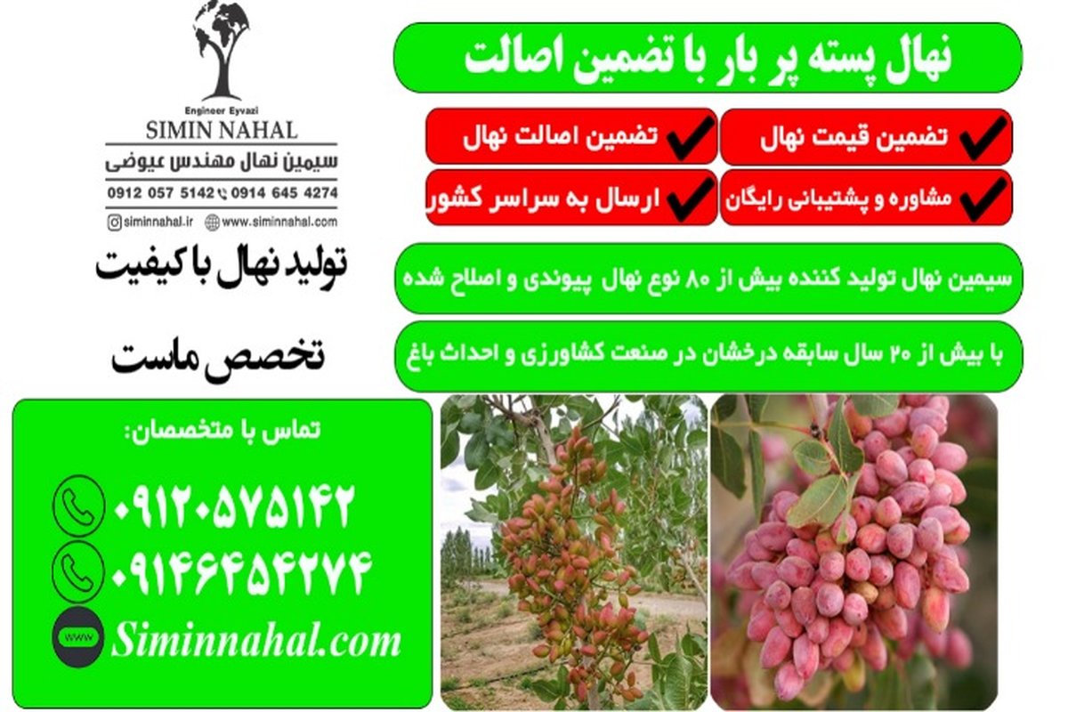 خرید نهال پسته مرغوب با تضمین اصالت و رشد