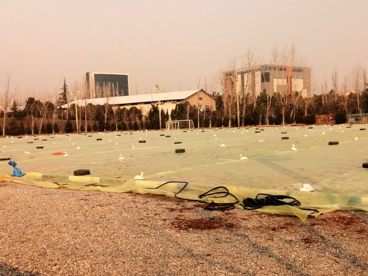 در انتظار آمادهسازی زمین تمرین جدید استقلال (عکس)