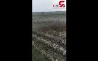 اصابت موشک ارمنستانی به خاک ایران |فیلم