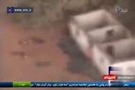 مرگ مغز متفکر یک نسل کشی!