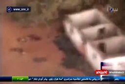 مرگ مغز متفکر یک نسل کشی!
