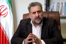 فلاحت‌پیشه: روابط ایران و روسیه شبه‌راهبردی است
