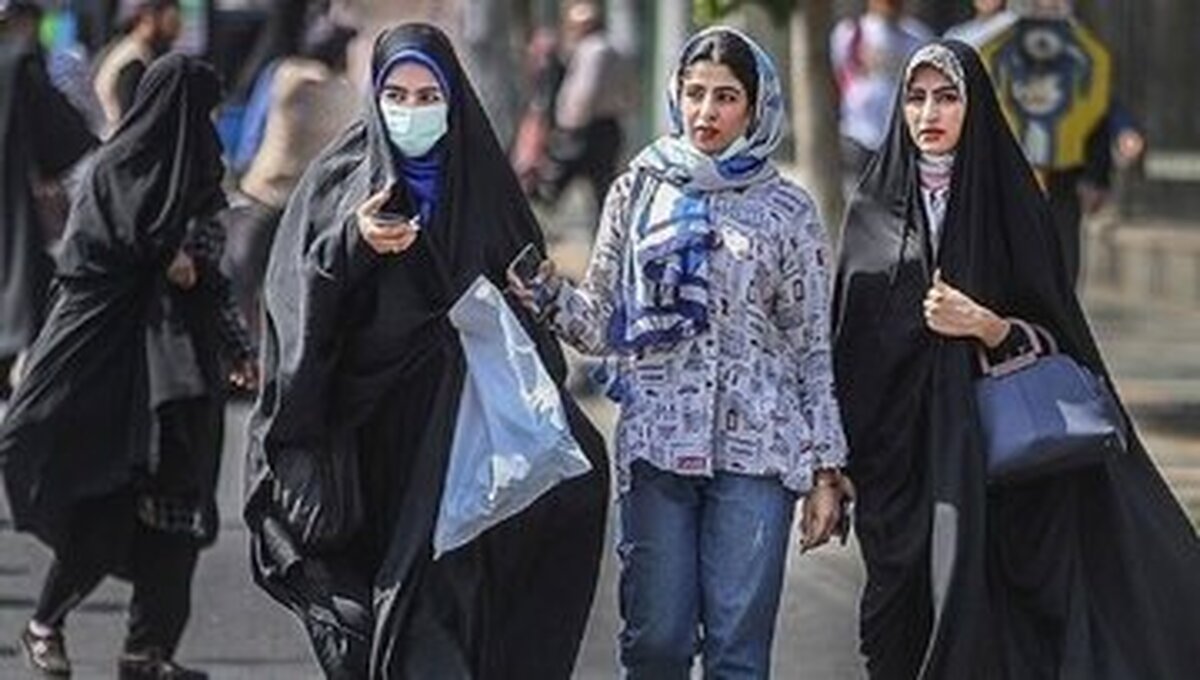 انصاری:قانون عفاف و حجاب از اول روند مشکل‌داری را طی کرده است