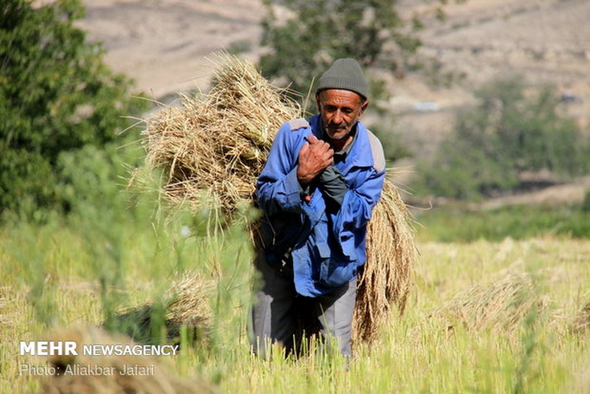 چه کسانی به روحانی آمار غلط میدهند؟