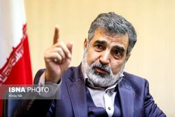 کمالوندی: بدون آمریکا و چین هم می‌توانیم بازطراحی راکتور اراک را ادامه دهیم