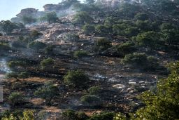 «زاگرس» آخرین نفس‌های خود را می‌کشد؟