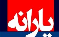یارانه جدید دولت در جیب مردم | ماجرای یارانه 1 میلیون و 350 هزارتومانی چیست؟