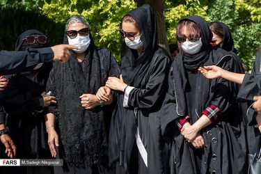سیروس گرجستانی
