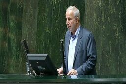 کوچکی‌نژاد: وزیر کشور با مجلس بازی می‌کند، قول می‌دهد اما عمل نمی‌کند