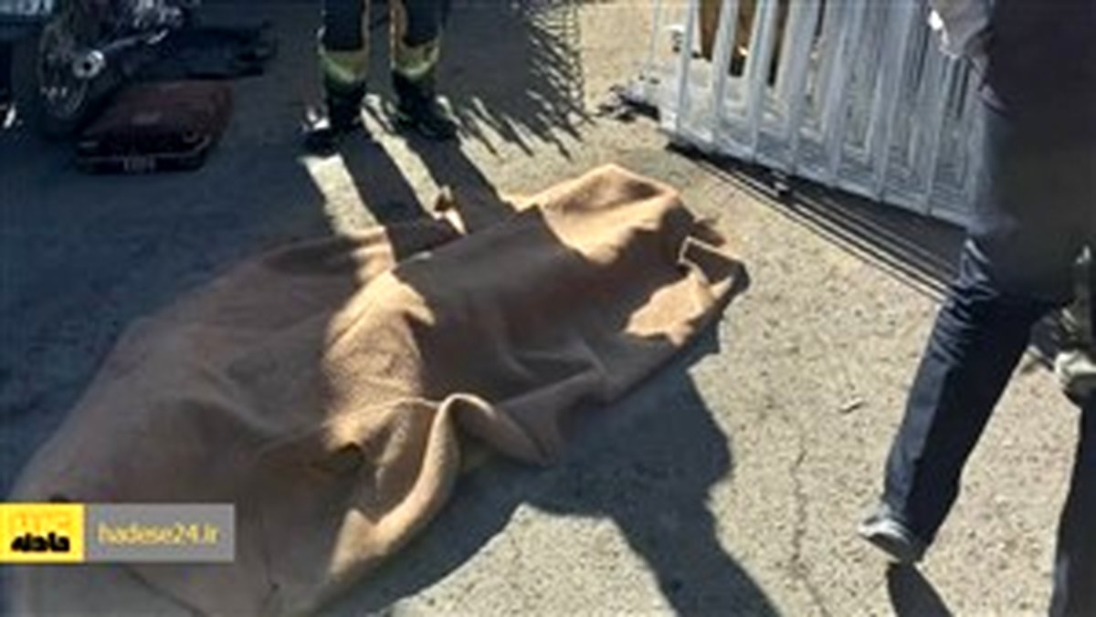 کشف جسد تکه تکه شده زن جوان در تهران