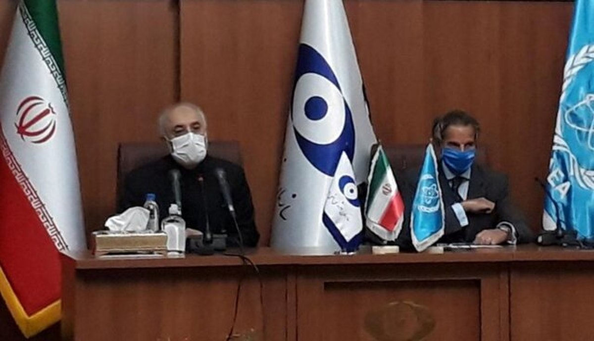 مدیرکل آژانس:تا جایی که بتوانیم اجازه نمیدهیم فشارها بر فعالیت ما اثر بگذارد