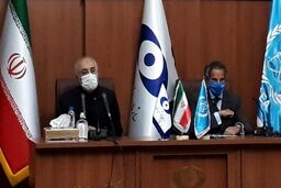مدیرکل آژانس:‌تا جایی که بتوانیم اجازه نمی‌دهیم فشارها بر فعالیت ما اثر بگذارد