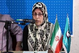 منصوری: دیوارکشی‌ها نتیجه‌ای جز تولید خشم به دنبال نخواهد داشت