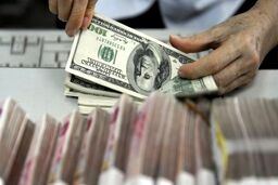 اما و اگرهای حذف ارز ترجیحی