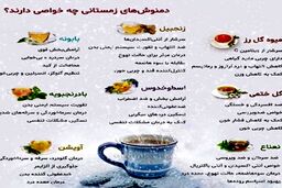 دمنوش های مفید و گیاهی زمستانی چه خواصی دارند؟ + عکس