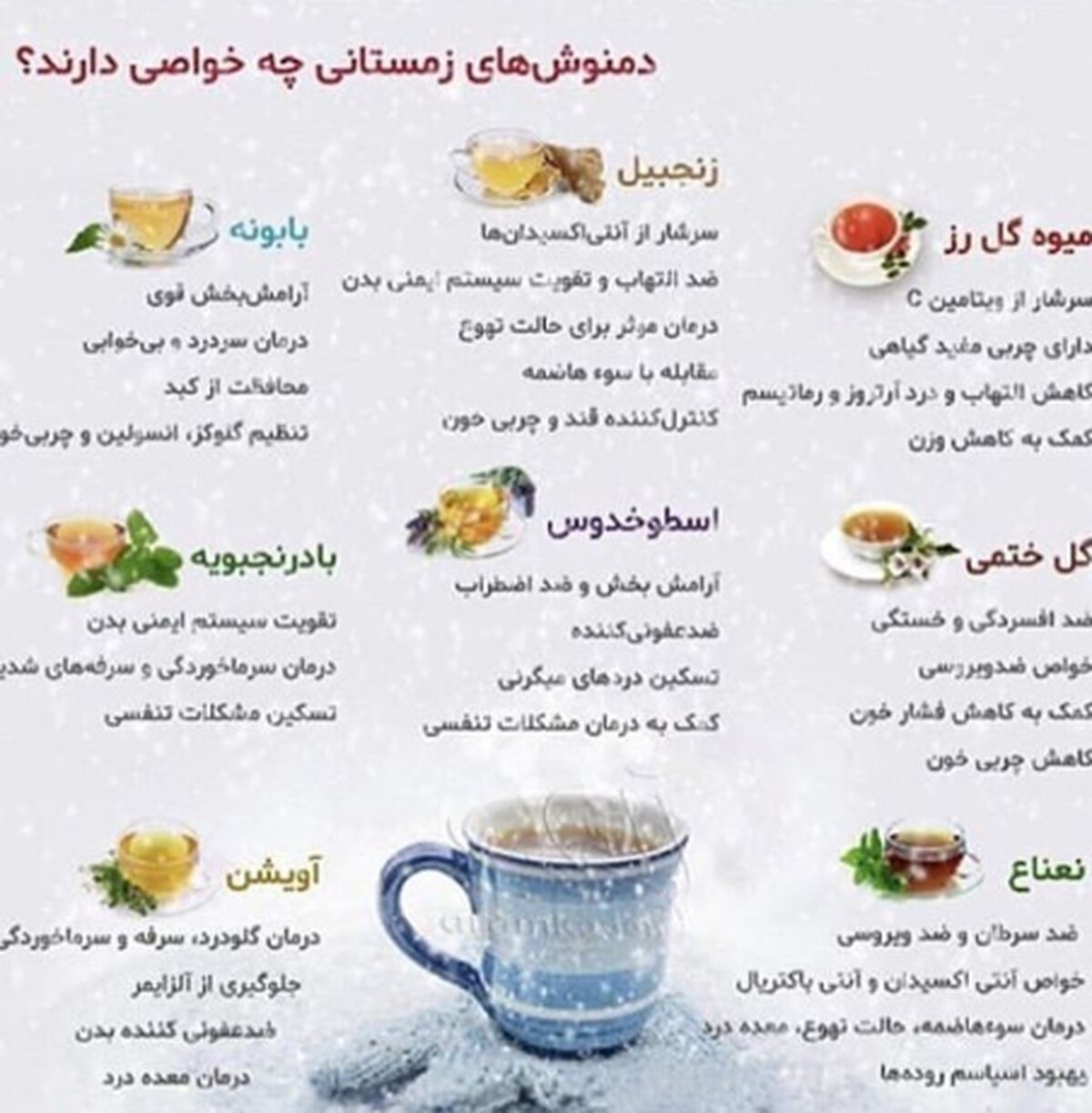 دمنوش های مفید و گیاهی زمستانی چه خواصی دارند؟ + عکس