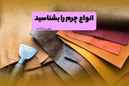 انواع چرم را بشناسید! شناخت ویژگی و کاربرد انواع جنس چرم