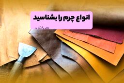 انواع چرم را بشناسید! شناخت ویژگی و کاربرد انواع جنس چرم
