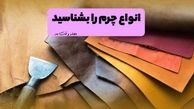 انواع چرم را بشناسید! شناخت ویژگی و کاربرد انواع جنس چرم