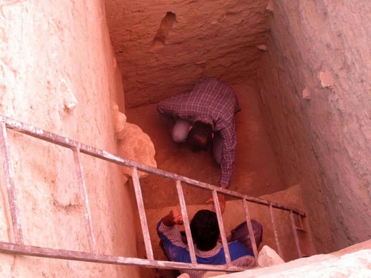 بوشهر/ کشف تمدنِ 7000 ساله درکرانههای خلیجفارس