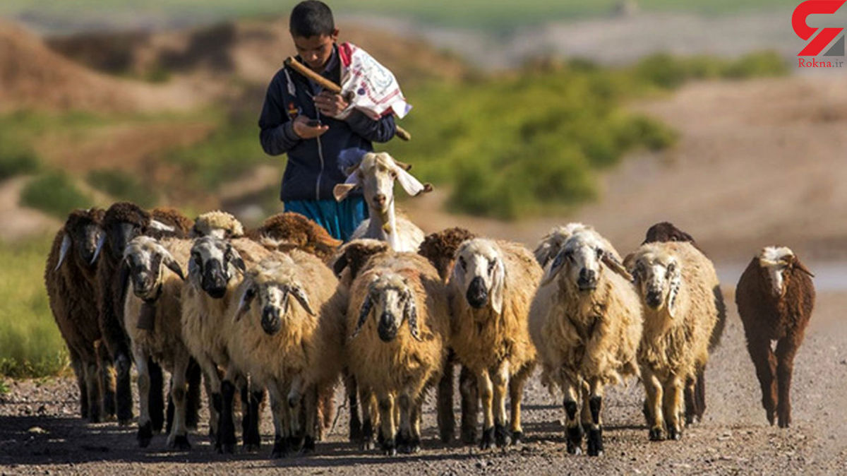 نجات معجزه آسای چوپان 17 ساله در دل کوهستان / ساعت ها جدال با مرگ