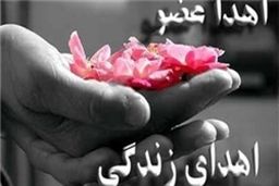 رضایت «عسل بدیعی»برای  اهدای پوست جسدش / قیمت بالای پوست وارداتی انسان