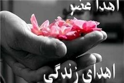 رضایت «عسل بدیعی»برای  اهدای پوست جسدش / قیمت بالای پوست وارداتی انسان