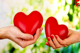 بی آبرویی خانم معلم زبان در عشق به پسر تهرانی ! / در کلاس خصوصی چه گذشت !