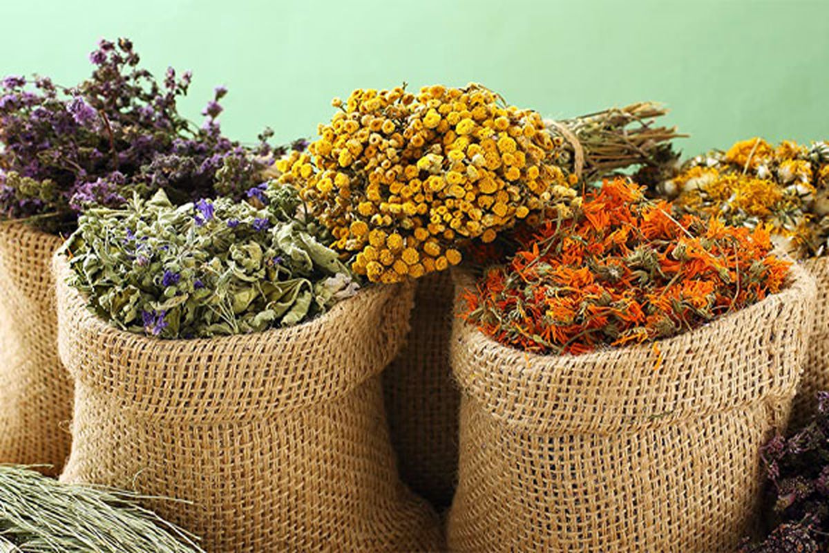 ویترین مارکت؛ مرکز فروش دمنوش های گیاهی