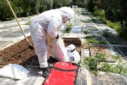 سازمان جهانی بهداشت: پایان کرونا دور است؛ هنوز در میانه همه‌گیری هستیم
