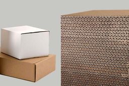 نکات مهم در سفارش کارتن بسته بندی
