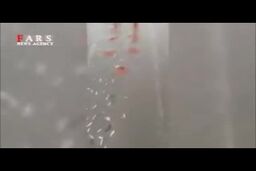 فیلم/ بارش ماهی از آسمان در آسمان گلپایگان